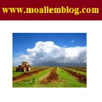 پروژه کارآموزی کشاورزی